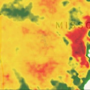 Meet your Posher, Jen